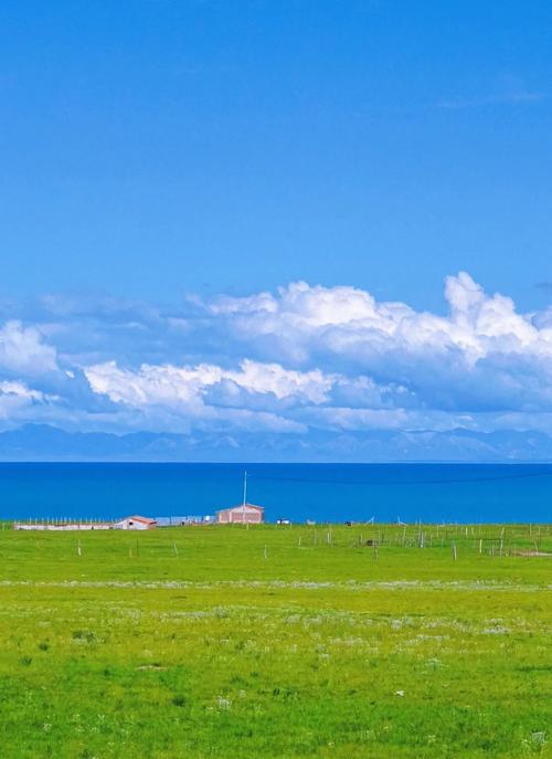 站群服务器盈利